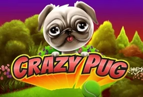 Crazy Pug