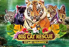 Big Cat Rescue Megaways